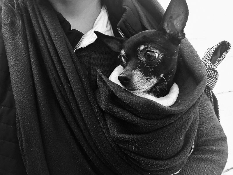 Monumento a la Revolución