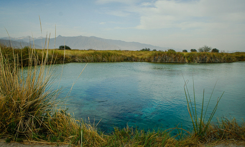 Cuatrociénegas