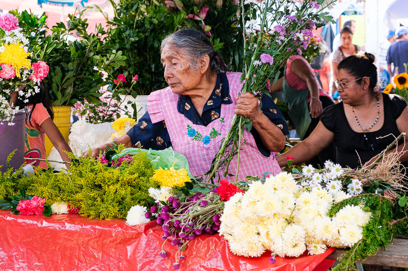 Venta de Flores