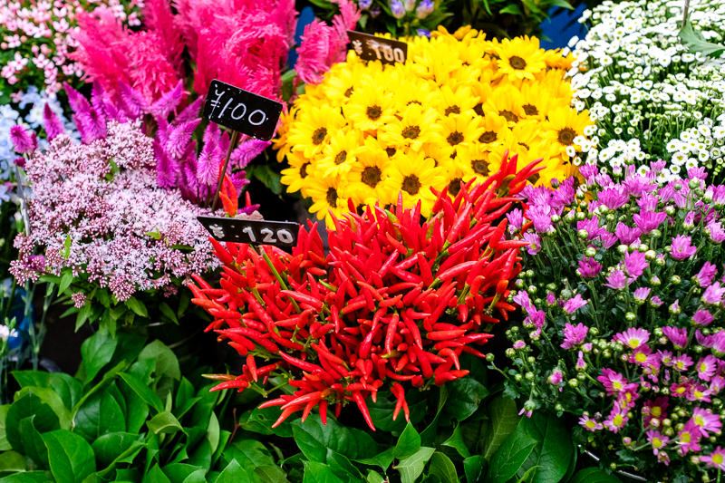 Kuromon Ichiba Market