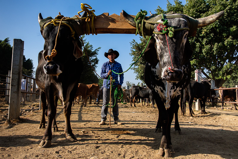 Baratillo de San Antonino Castillo Velasco