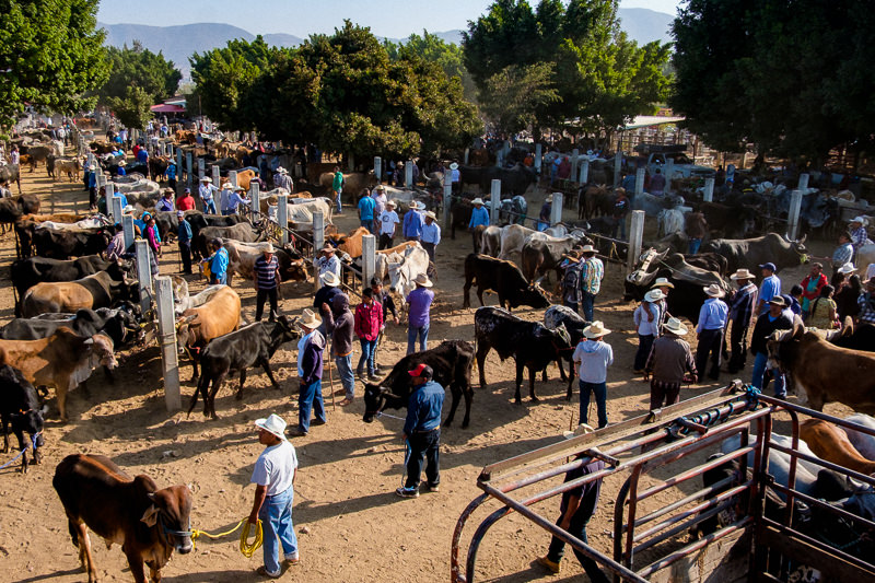 Baratillo de San Antonino Castillo Velasco