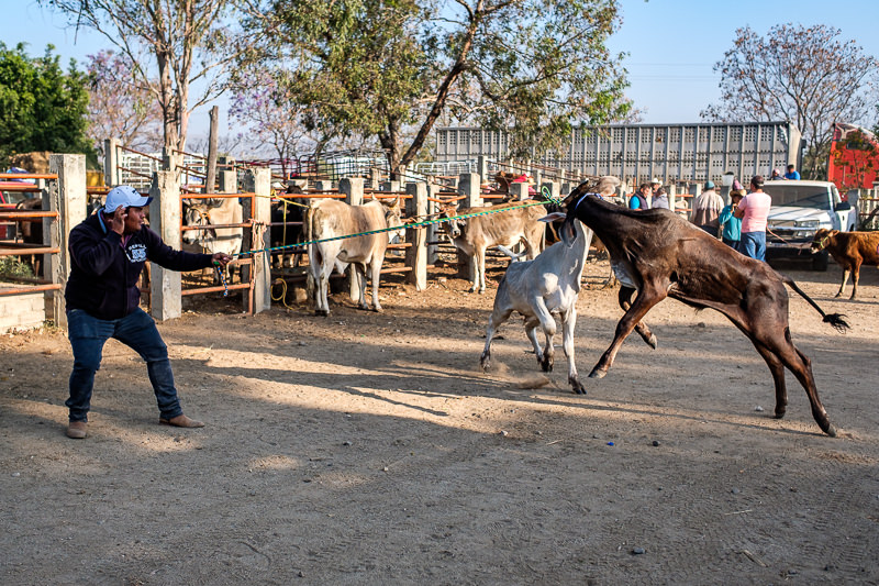 Baratillo de San Antonino Castillo Velasco