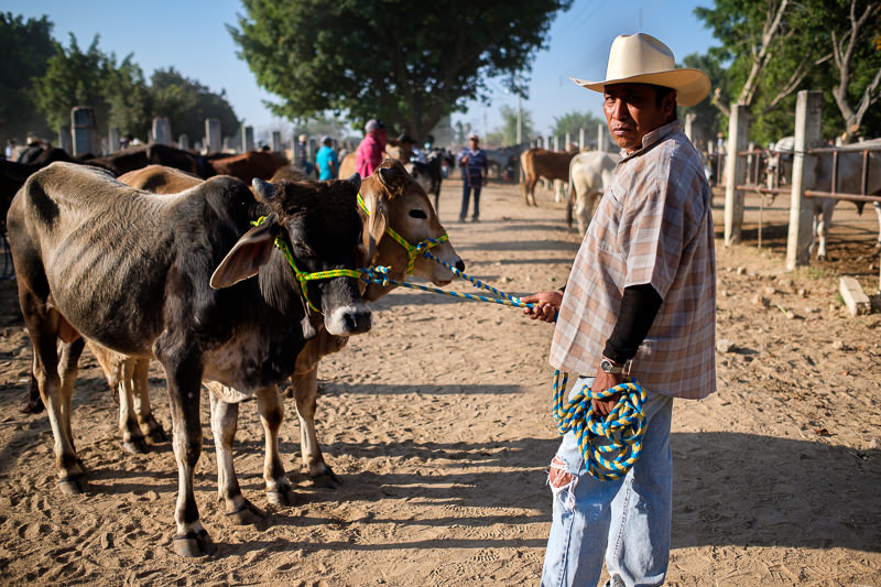 Baratillo de San Antonino Castillo Velasco