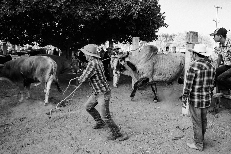 Baratillo de San Antonino Castillo Velasco