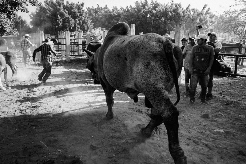 Baratillo de San Antonino Castillo Velasco