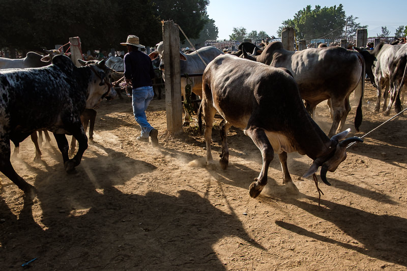 Baratillo de San Antonino Castillo Velasco