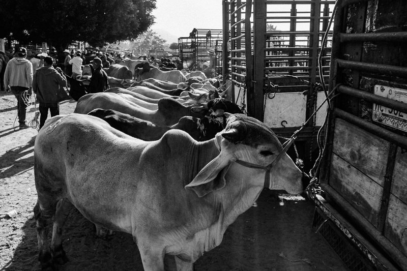 Baratillo de San Antonino Castillo Velasco