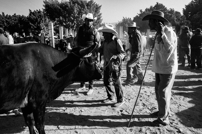 Baratillo de San Antonino Castillo Velasco