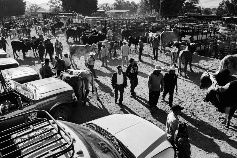 Baratillo de San Antonino Castillo Velasco