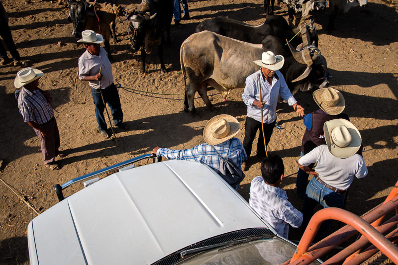 Baratillo de San Antonino Castillo Velasco