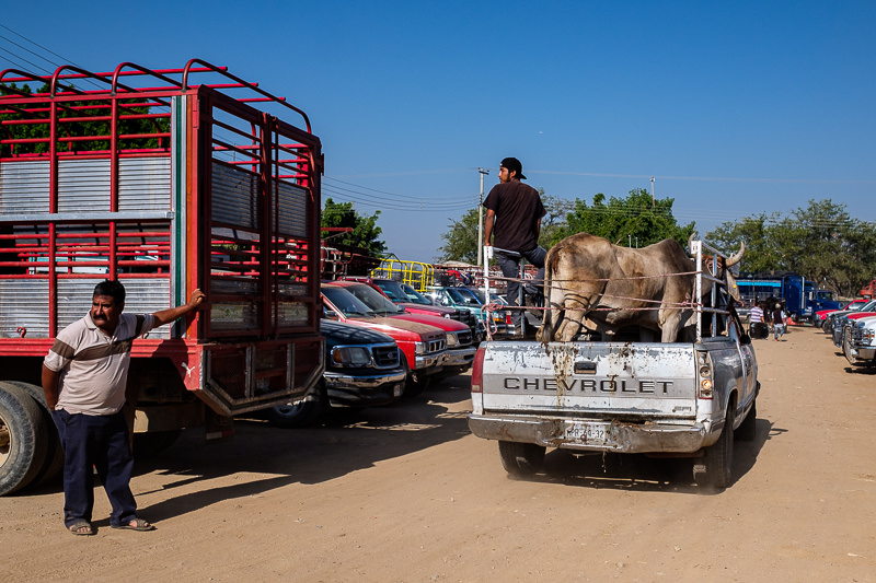 Baratillo de San Antonino Castillo Velasco