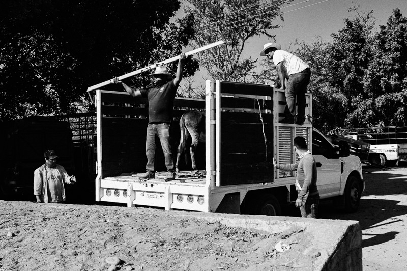 Baratillo de San Antonino Castillo Velasco