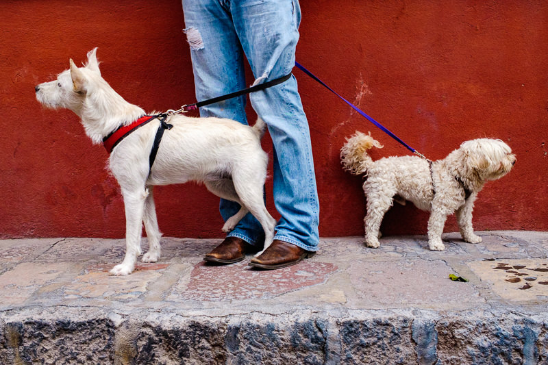 San Miguel de Allende
