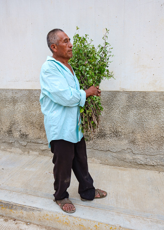 Fiesta Patronal Santiago Apóstol