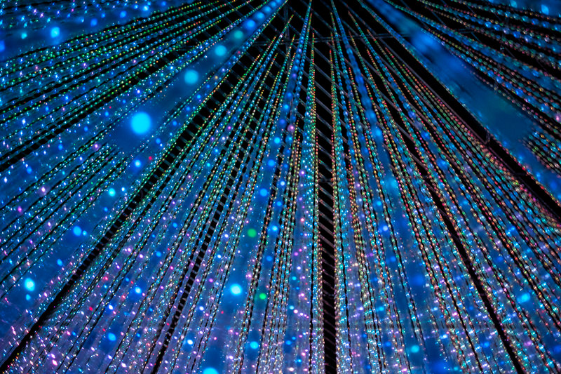 teamLab Borderless - MORI Digital Museum