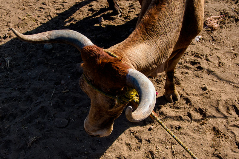 Baratillo de San Antonino Castillo Velasco