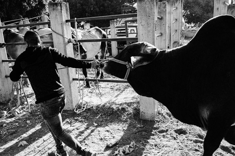 Baratillo de San Antonino Castillo Velasco