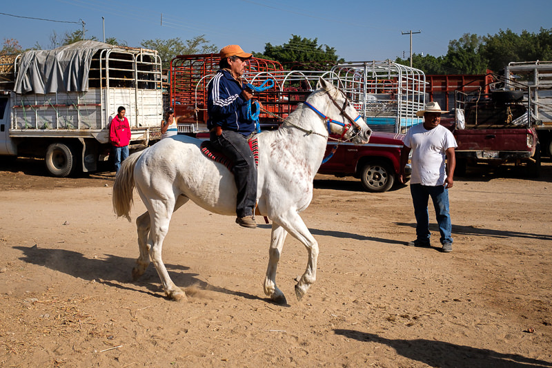 Baratillo de San Antonino Castillo Velasco