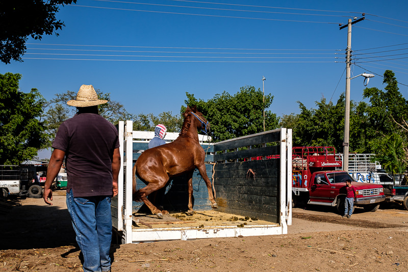 Baratillo de San Antonino Castillo Velasco