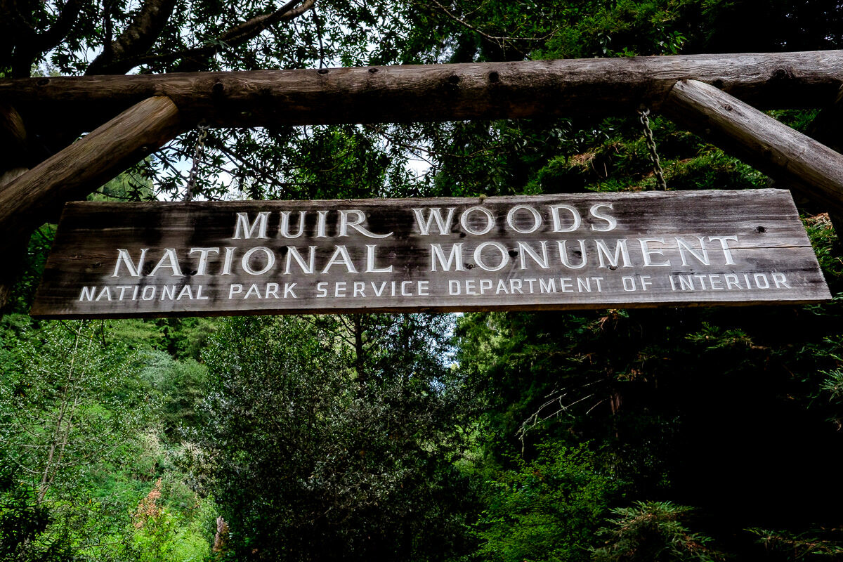 Muir Woods