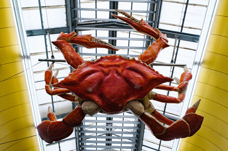 Kuromon Ichiba Market