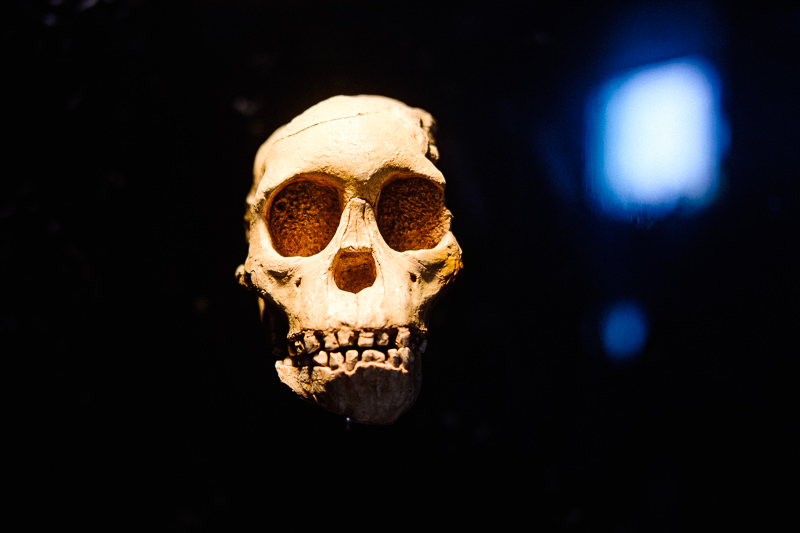 Museo Nacional de Antropología