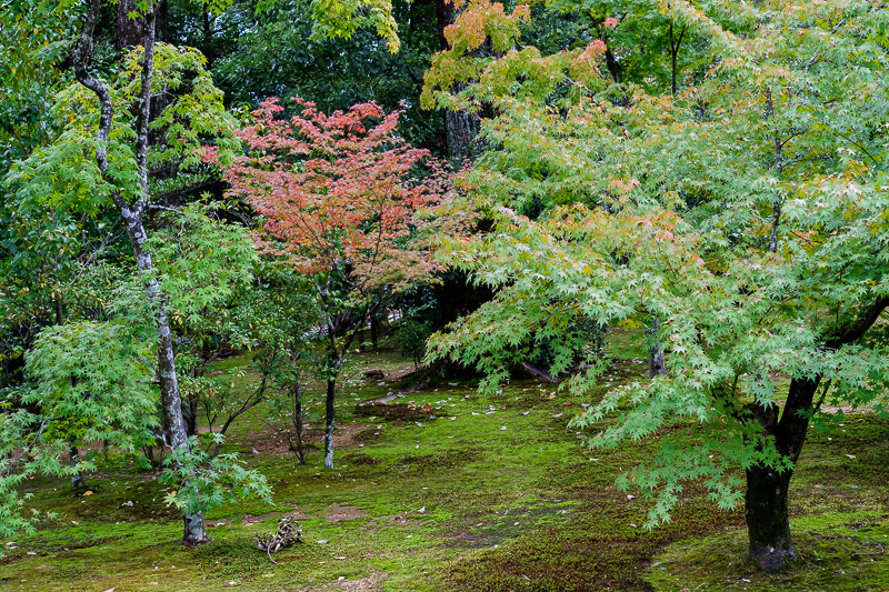 Kinkaku-ji