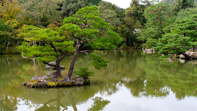 Kinkaku-ji