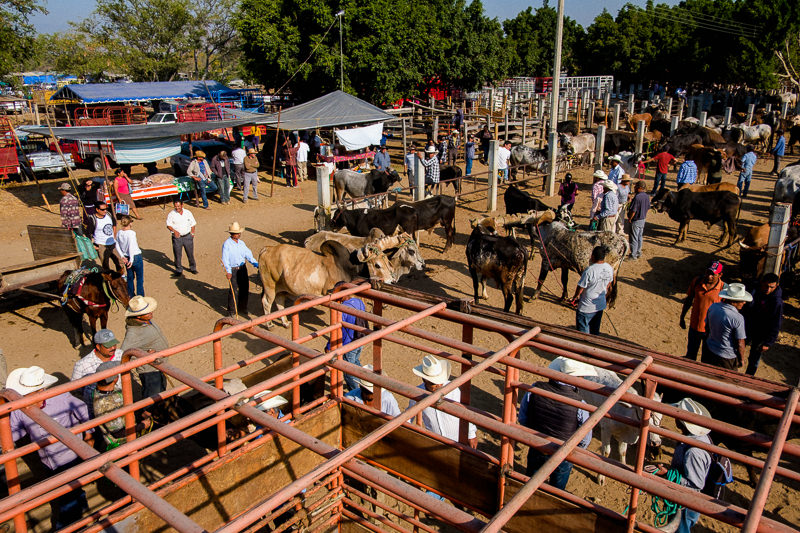 Baratillo de San Antonino Castillo Velasco