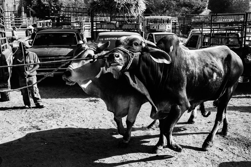 Baratillo de San Antonino Castillo Velasco