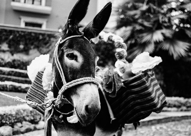 San Miguel de Allende