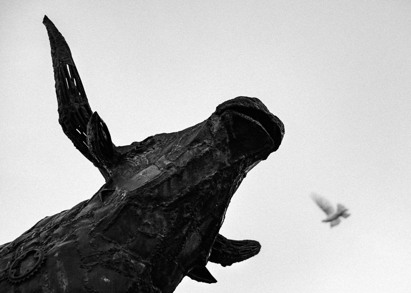 San Miguel de Allende