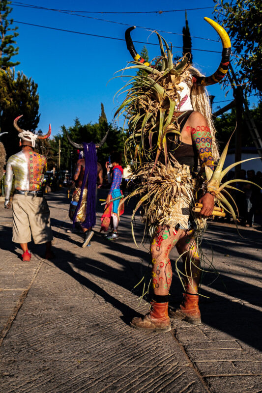 Carnaval de Santa Catarina Minas