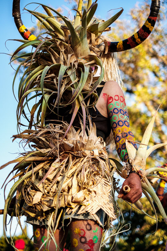 Carnaval de Santa Catarina Minas