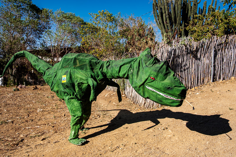 Carnaval de Santa Catarina Minas