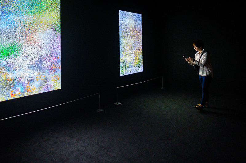 teamLab Borderless - MORI Digital Museum