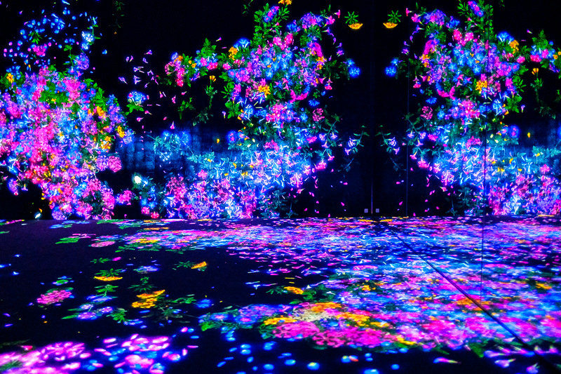 teamLab Borderless - MORI Digital Museum