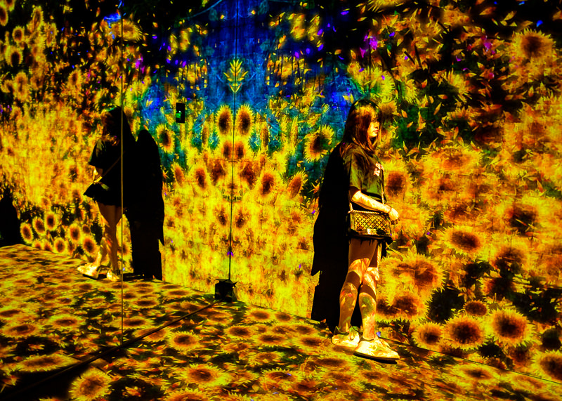 teamLab Borderless - MORI Digital Museum
