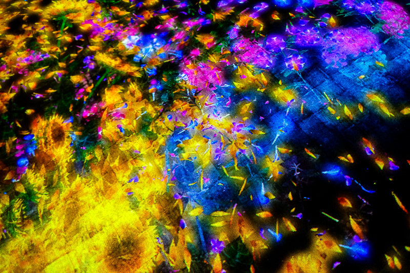 teamLab Borderless - MORI Digital Museum