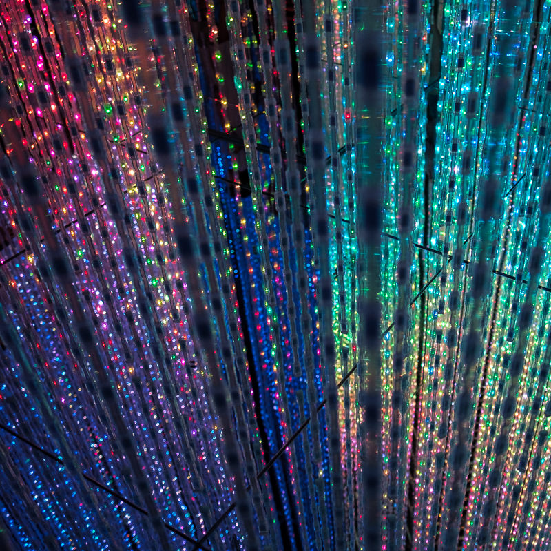teamLab Borderless - MORI Digital Museum