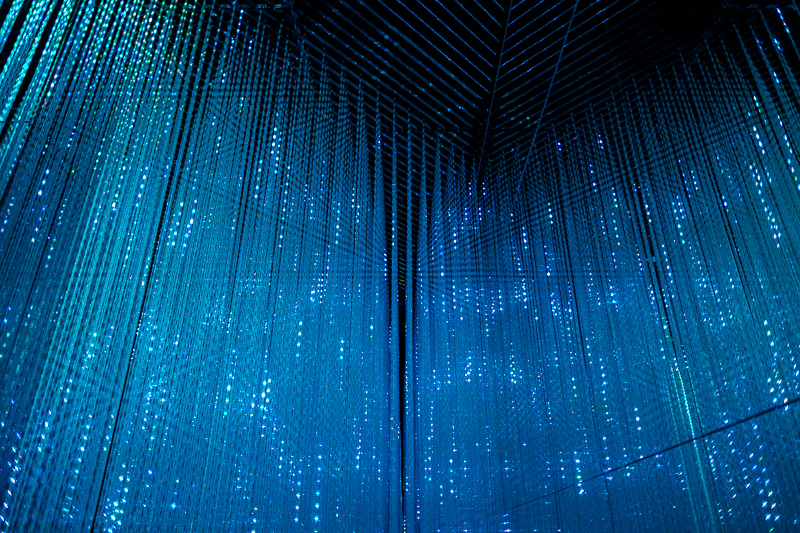 teamLab Borderless - MORI Digital Museum