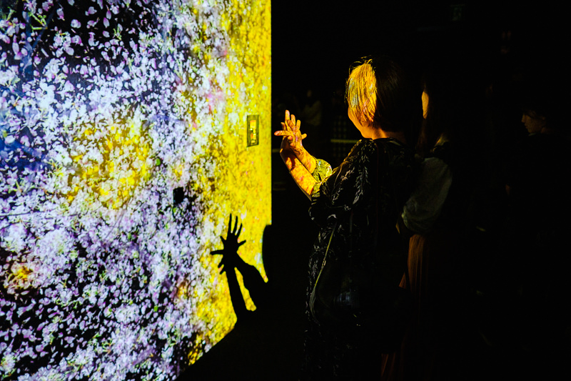 teamLab Borderless - MORI Digital Museum