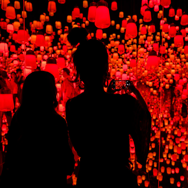 teamLab Borderless - MORI Digital Museum