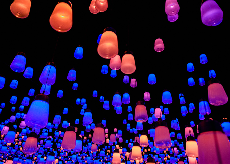 teamLab Borderless - MORI Digital Museum