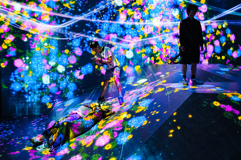 teamLab Borderless - MORI Digital Museum