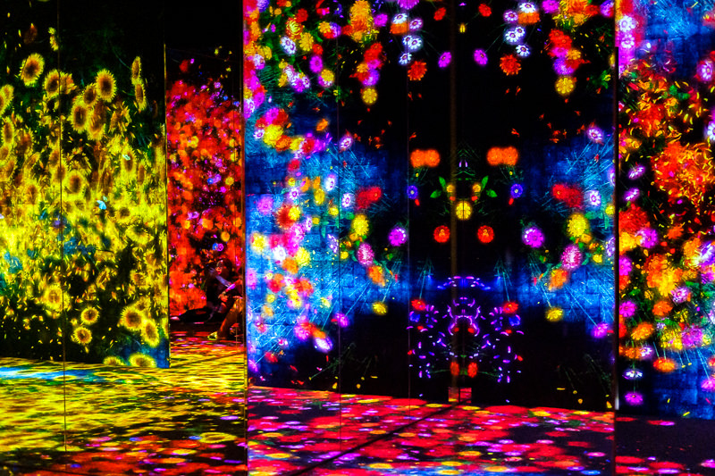 teamLab Borderless - MORI Digital Museum