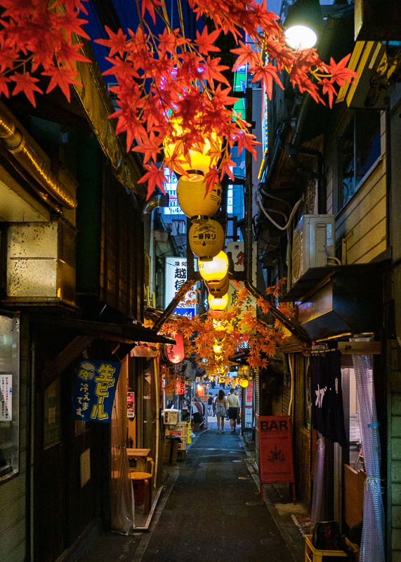 Shinjuku Golden Gai