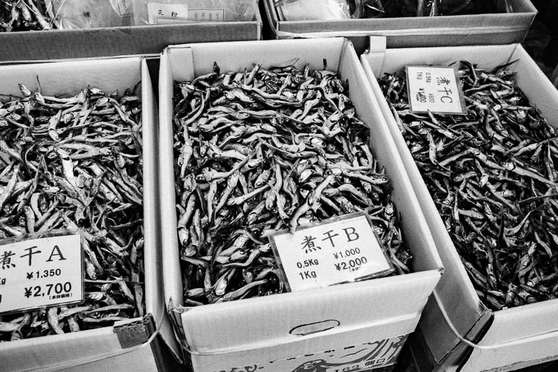 Tsukiji Fish Market
