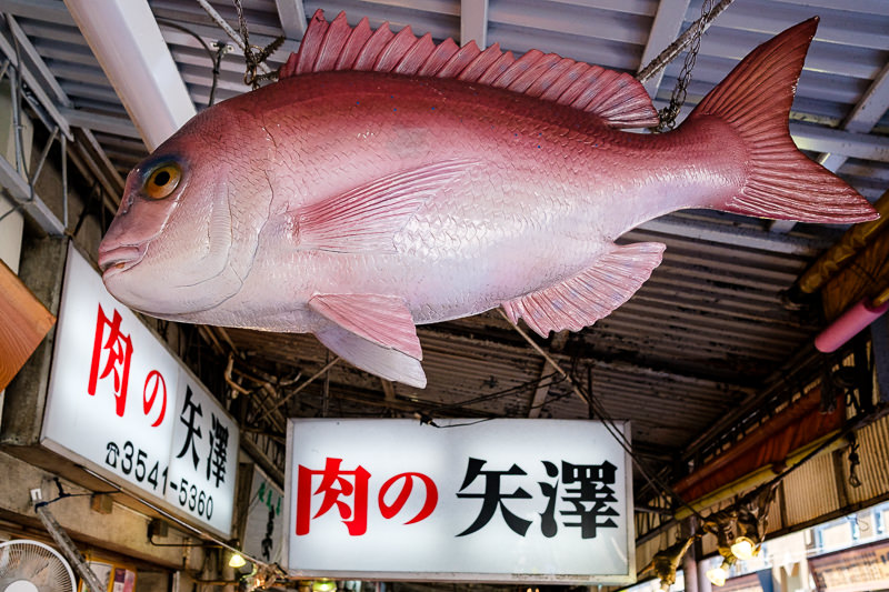 Tsukiji Fish Market